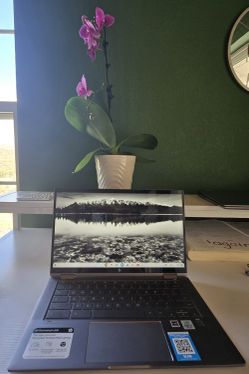 HP Chromebook, 2-in-1, 14C-CA0053DX, i3-10110U, 8GB, 64GB, S