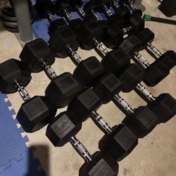 Dumbbells/squat Rack/ Weight Bench 