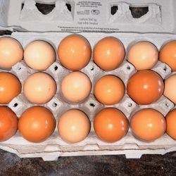 Fresh Organic Eggs