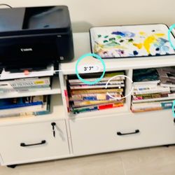 Rolling File Cabinet / Office Stand / Book Shelves)