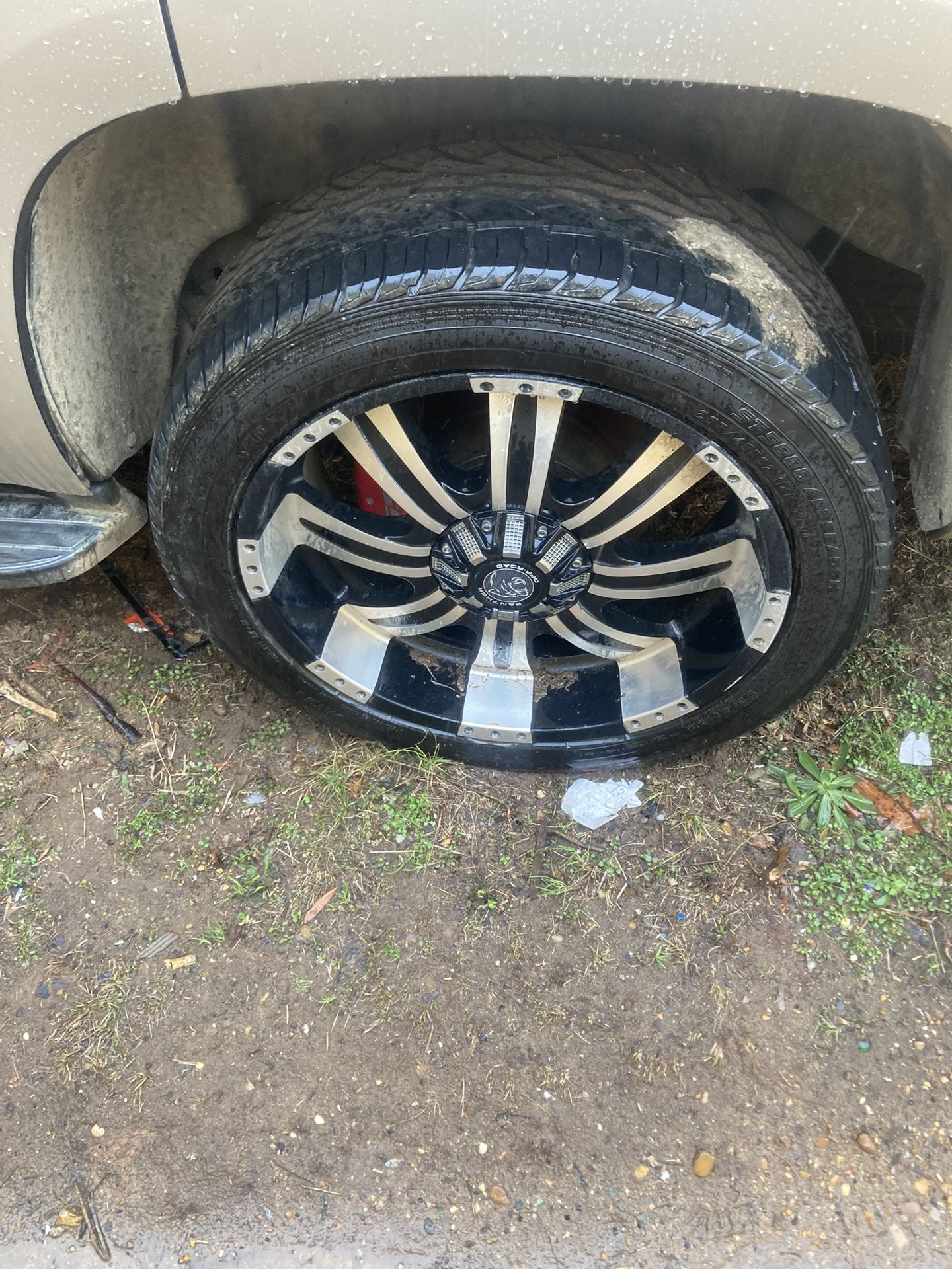 22in Panther Off Road Rims