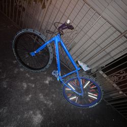 Thruster 29 Inch TRADES!!!!