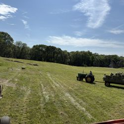 1 Cut 2025 Timothy Orchard Mix