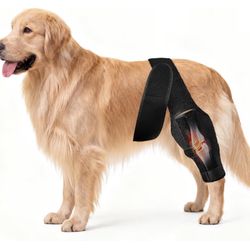 Generic Dog Knee Brace for ACL Tear