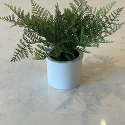 Threshold Tabletop Arrangement