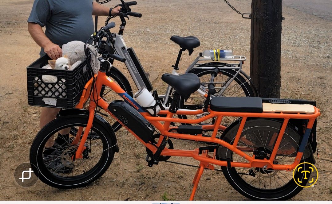RadWagon™ 4 Electric Cargo Bike!