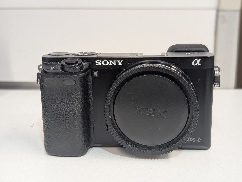 Sony Alpha a6000 Mirrorless Camera