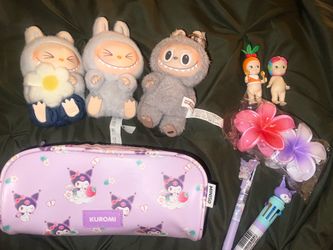 Labubus, Sony Angels, Kuromi