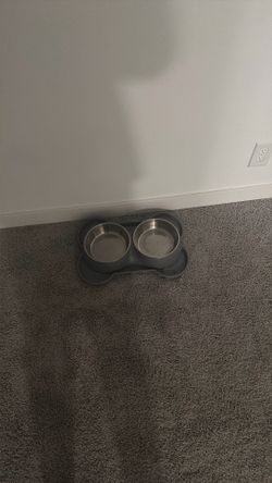 Full set dog bowl