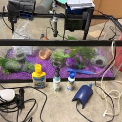 20 Gallon Fish Tank With All Supplies
