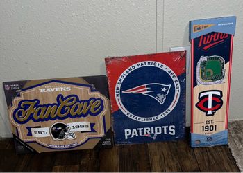 Baltimore Ravens, Minnesota Twins, New England Patriots