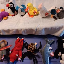 Beanie Babies Assorted Prices May Very !!