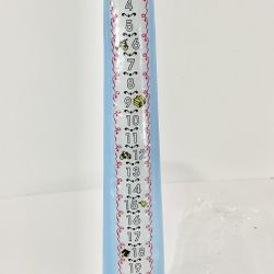Celebration Candles 1-21 Year Traditional Countdown Birthday Candle