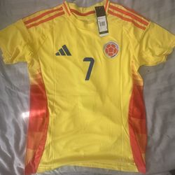Colombia Luis Diaz #7 Soccer Jersey for Men Fan Version