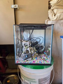 Fish tank