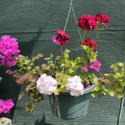 Mother’s Day flower Arrangement 