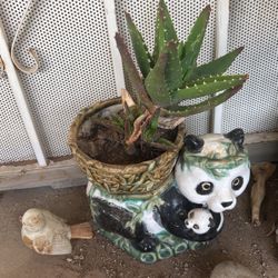 Plant Holder 