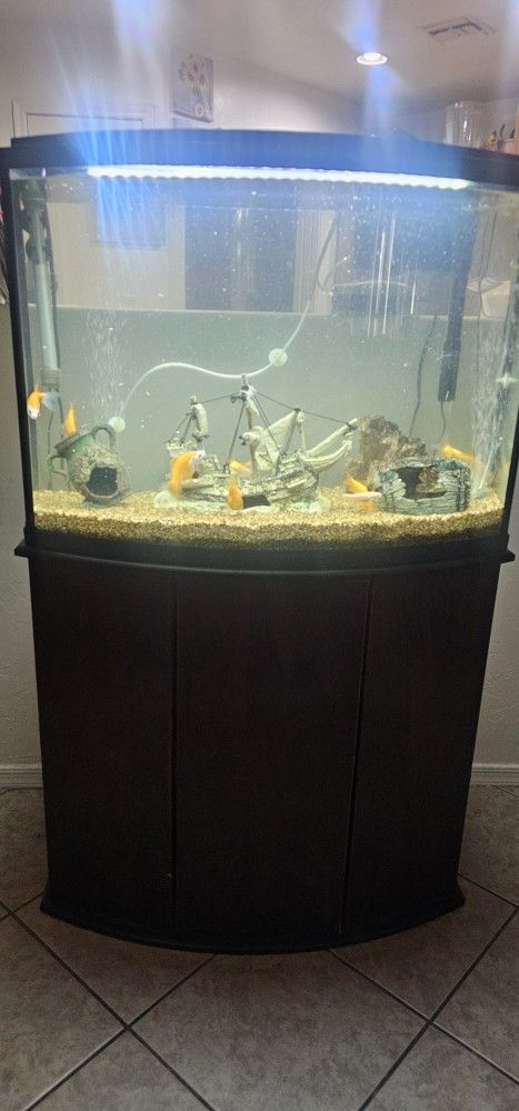 36 Gallon Aquarium & Stand