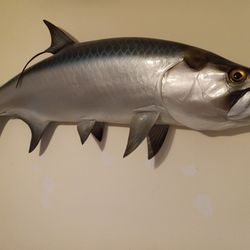 Tarpon Mount