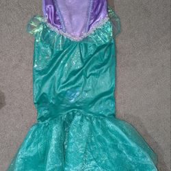 The Little Mermaid Costume.