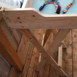 Rabbit show table with harness and leash