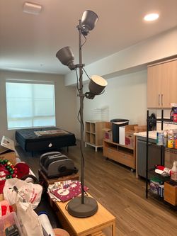 Multi-head floor lamp