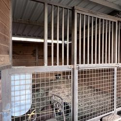 Caballeriza / Horse stall