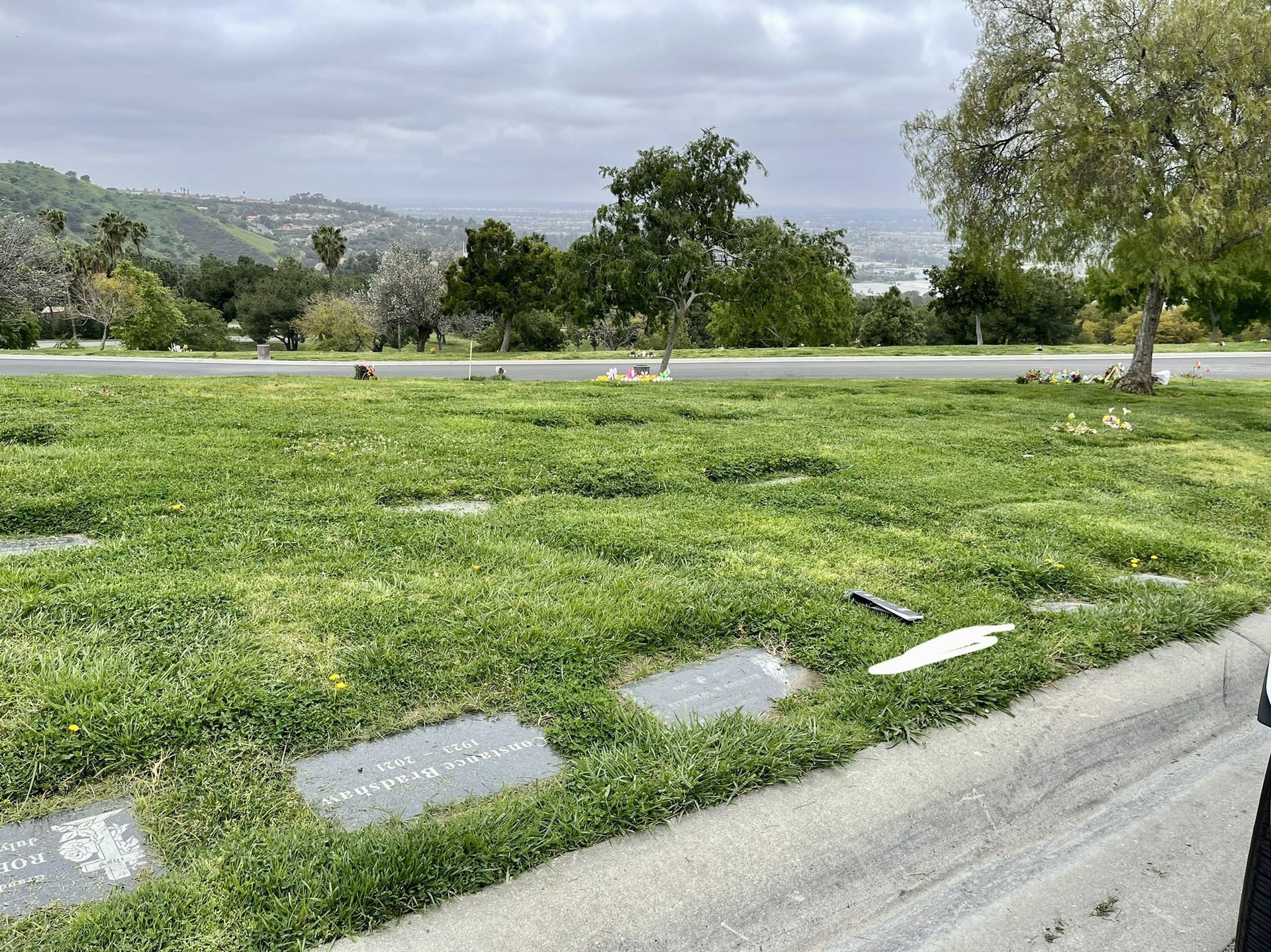 Rose Hills Memorial Park Rose Hills Cemetery Plot For Sale Single Plot