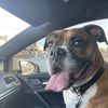Walter