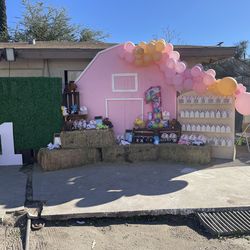 Pink Barn Backdrop