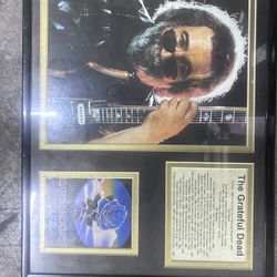 Jerry Garcia Wall Art