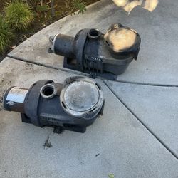Hayward Northstar pool motors
