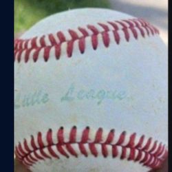 BUCKET OF ( 25) Baseballs "MIXED" IF YOU DO NOT HAVE $85 Please  Do Not Contact Me. Located In Glendora.  Check Out My Page For Other Baseball EQUIPME