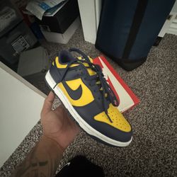 Nike Dunk Low Michigan
