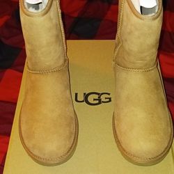 Uggs