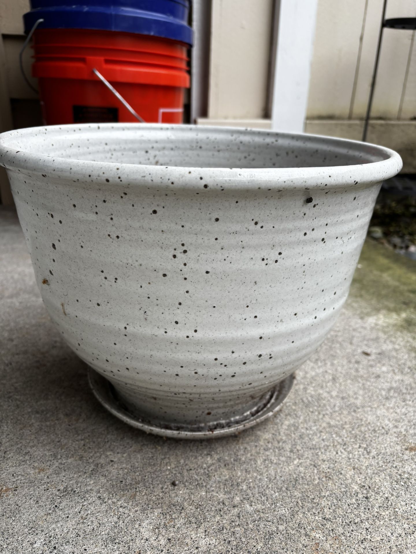 Large Planter With Drainage 12’’