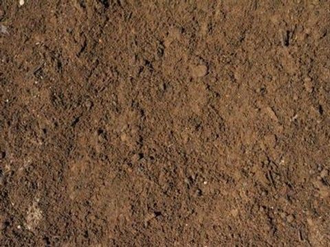 Screened Loam Topsoil