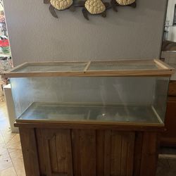 Fish/Reptile Tank For Sale 