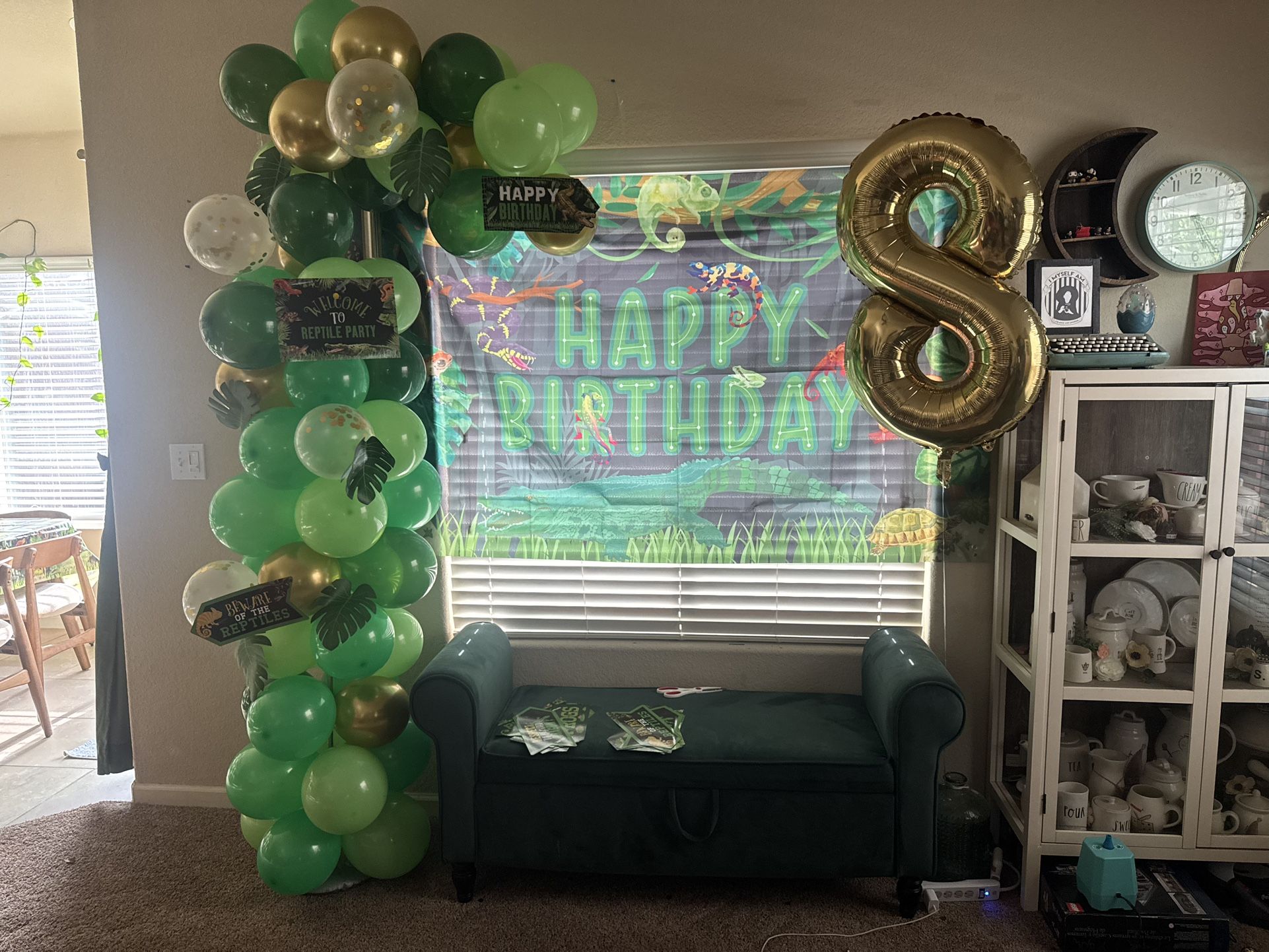 Reptile Party Supplies