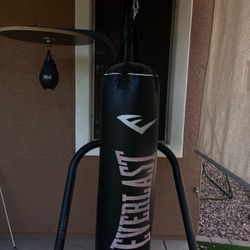 Everlast Triple Station Heavy Bag