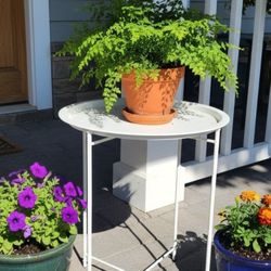 $20 Any Two Plant Stands Planter Garden Pedestals 
