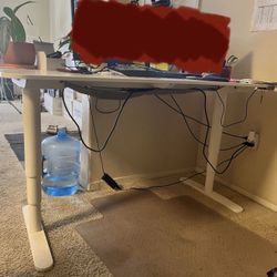 Large Stand Up Desk