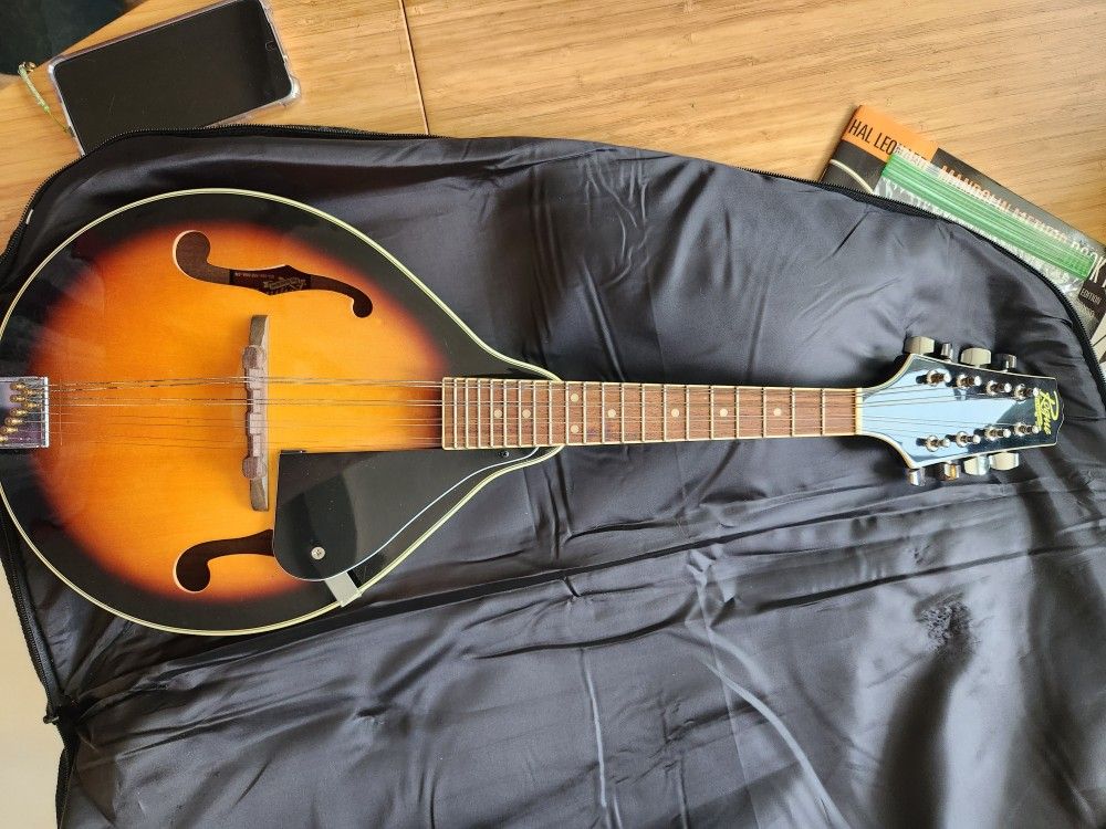 Mandolin Instrument