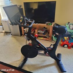 Peloton (With Shoes, Weights And More)