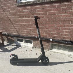 Electric Scooter Bird