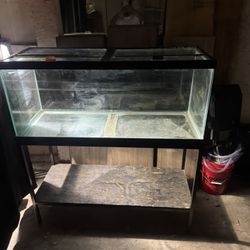 75 Gallon With Stand  