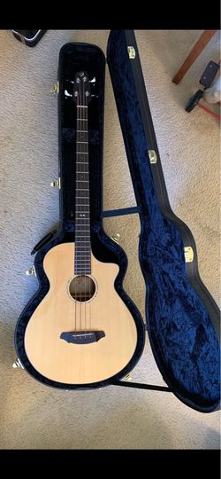 Acoustic/Electric Bass