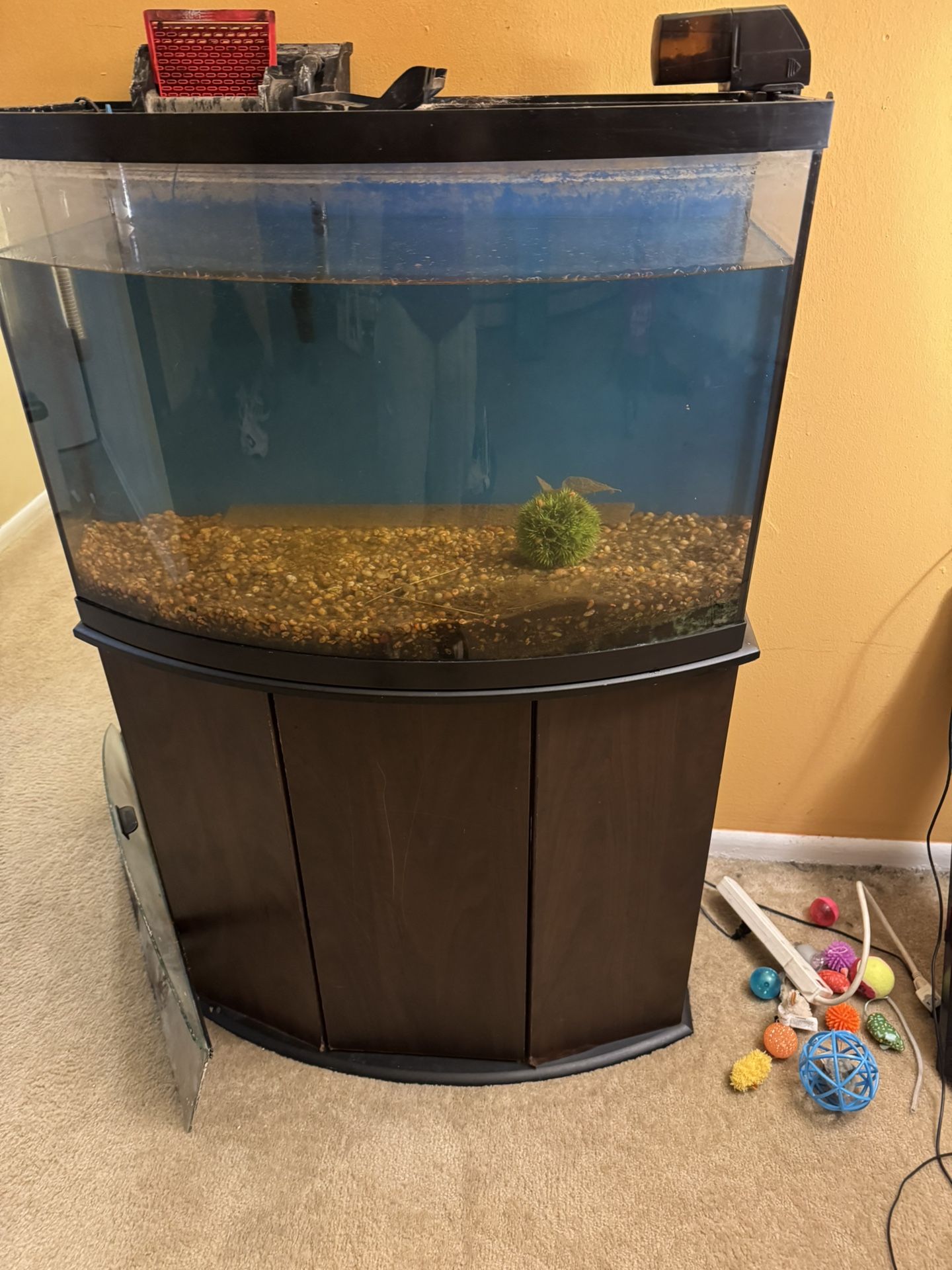 Fish Tank For sale 35 Gallons