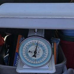 Vintage Nursey Scale