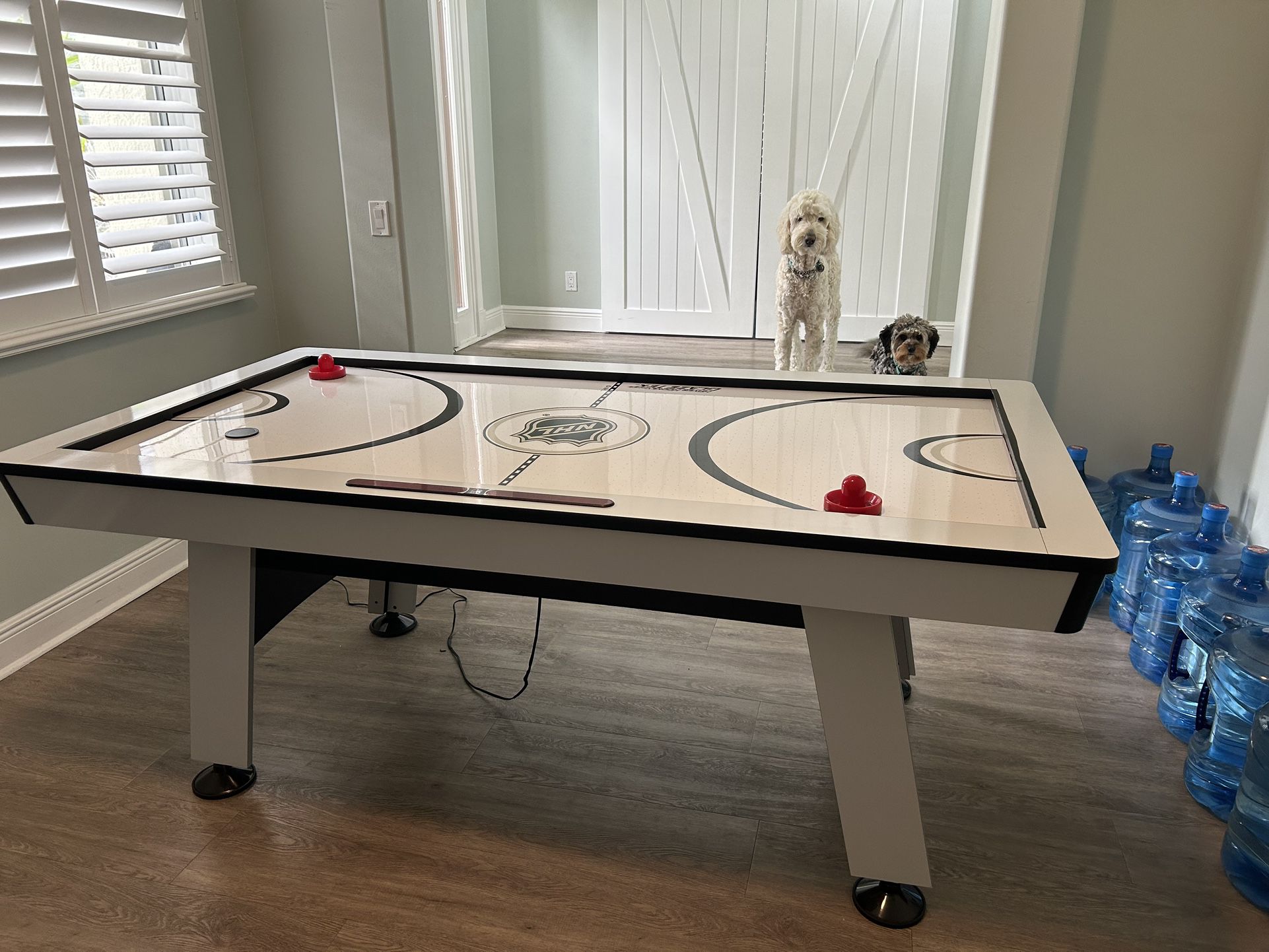 Air Hockey / Ping Pong Table 